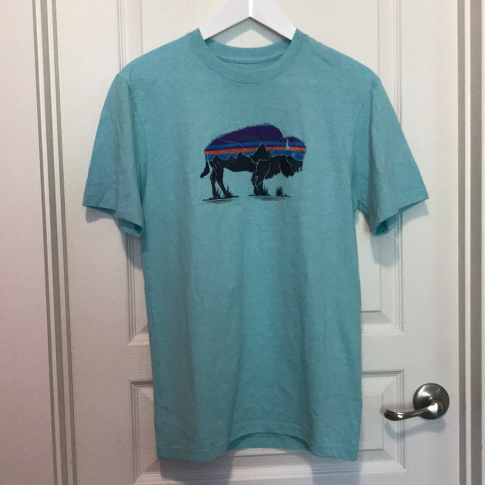 Patagonia Fitz Roy Bison Reaponsibili-Tee.